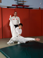 aikido_3883