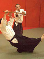 aikido_8081s